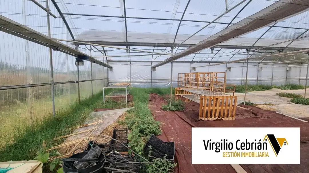 Casa rustica con giardino in vendita a Las Tres Piedras - Costa Ballena, imagen 8
