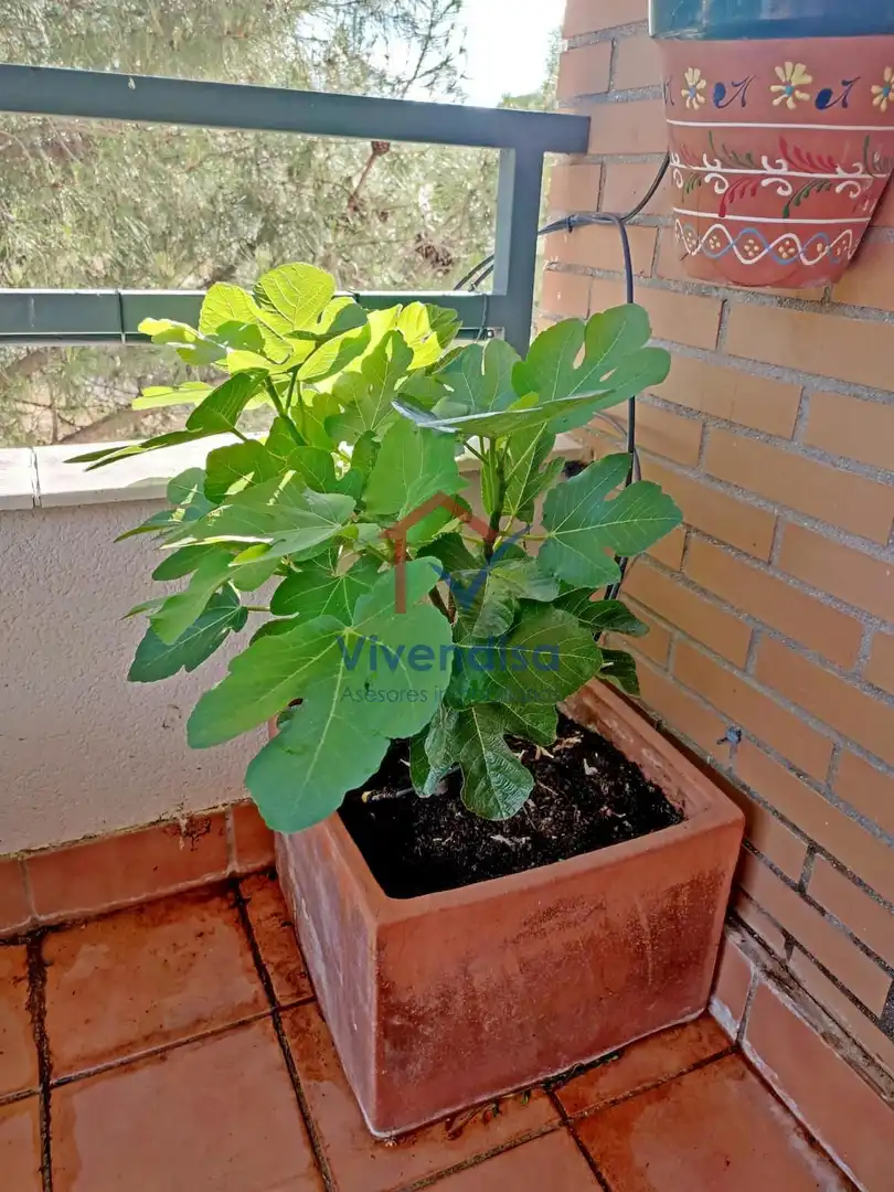Garden of Flat for sale in Guadalajara  with Air Conditioner, Heating and Terrace