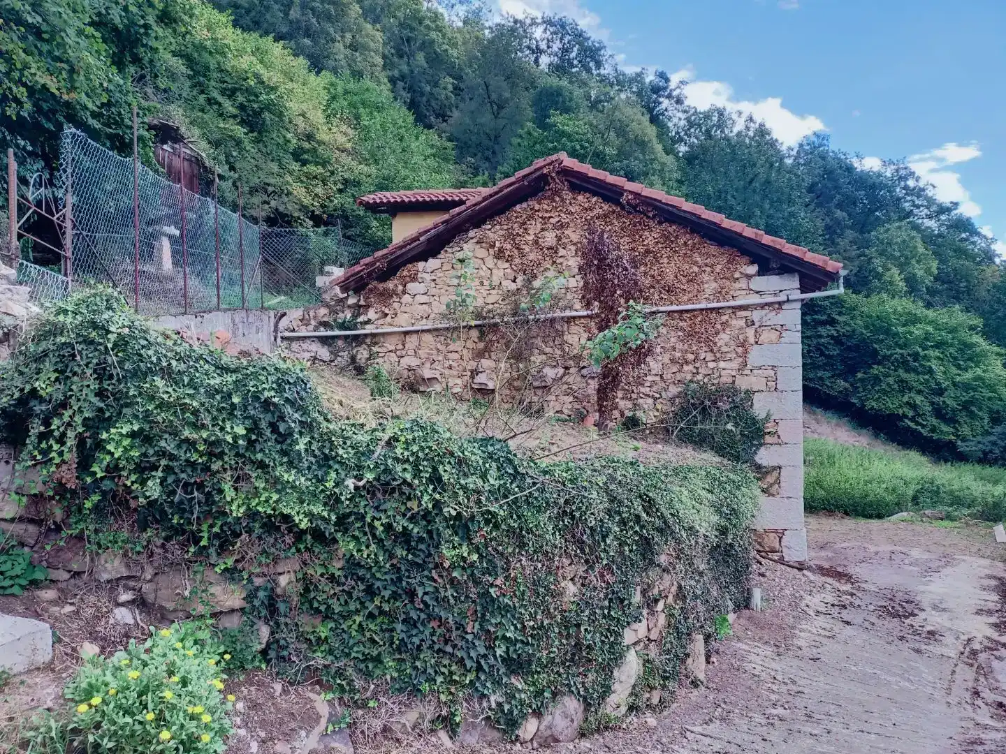 Vista exterior de Pis en venda en Proaza amb Jardí privat