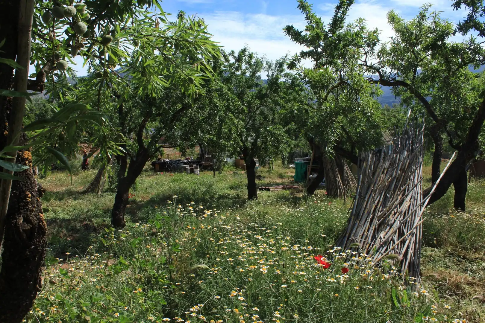 Jardín de Terreno en venta en Nigüelas