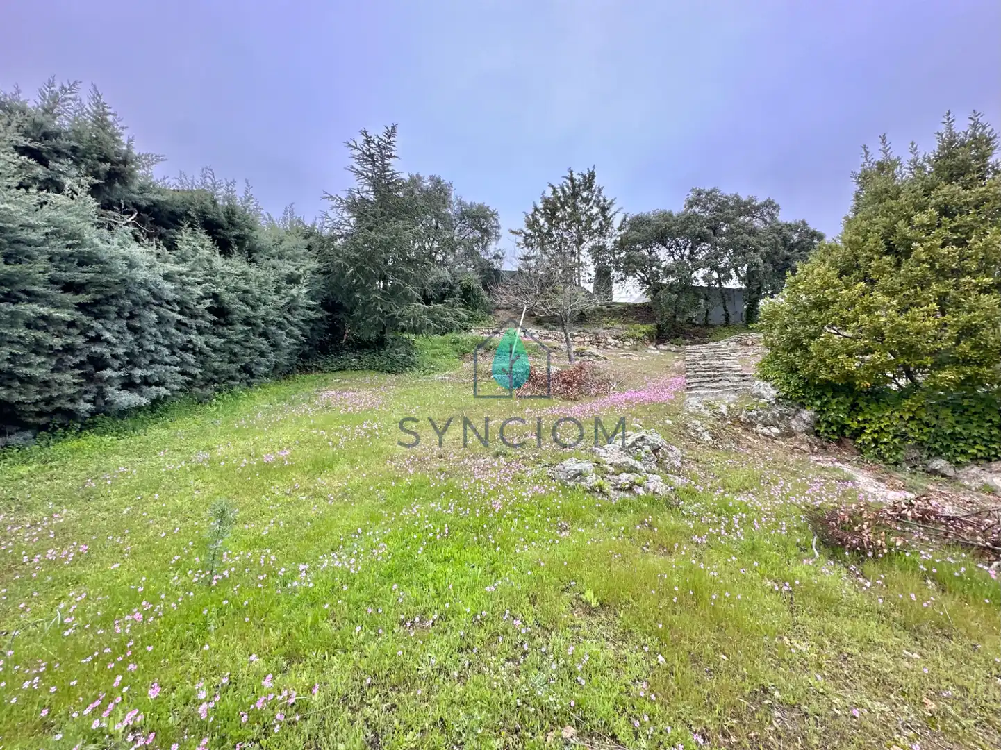 Casa o chalet en venta en Avenida de Peguerinos, Cerro Alarcón