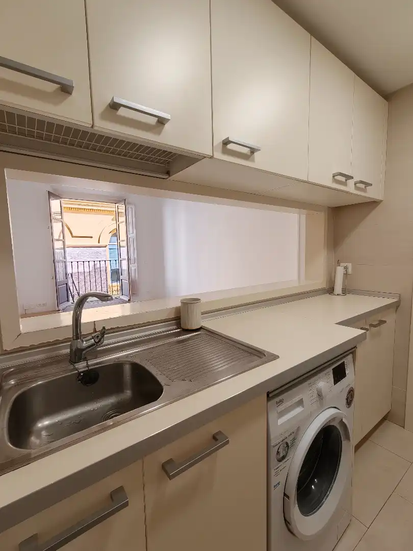 Wohnung zur Miete in Plaza de Cascorro, 3, Embajadores - Lavapiés