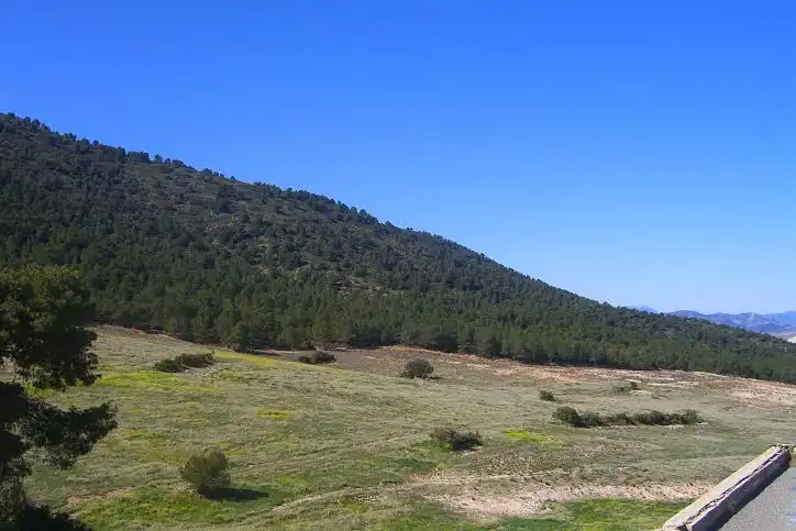 Terrenys i solars en venda a Lorca Ciudad, imagen 6
