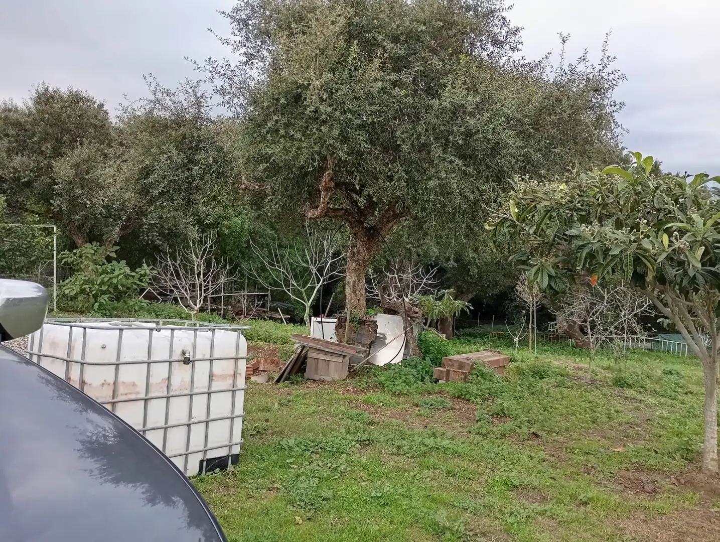 Finca rústica en venda en Los Barrios amb Jardí privat i Moblat