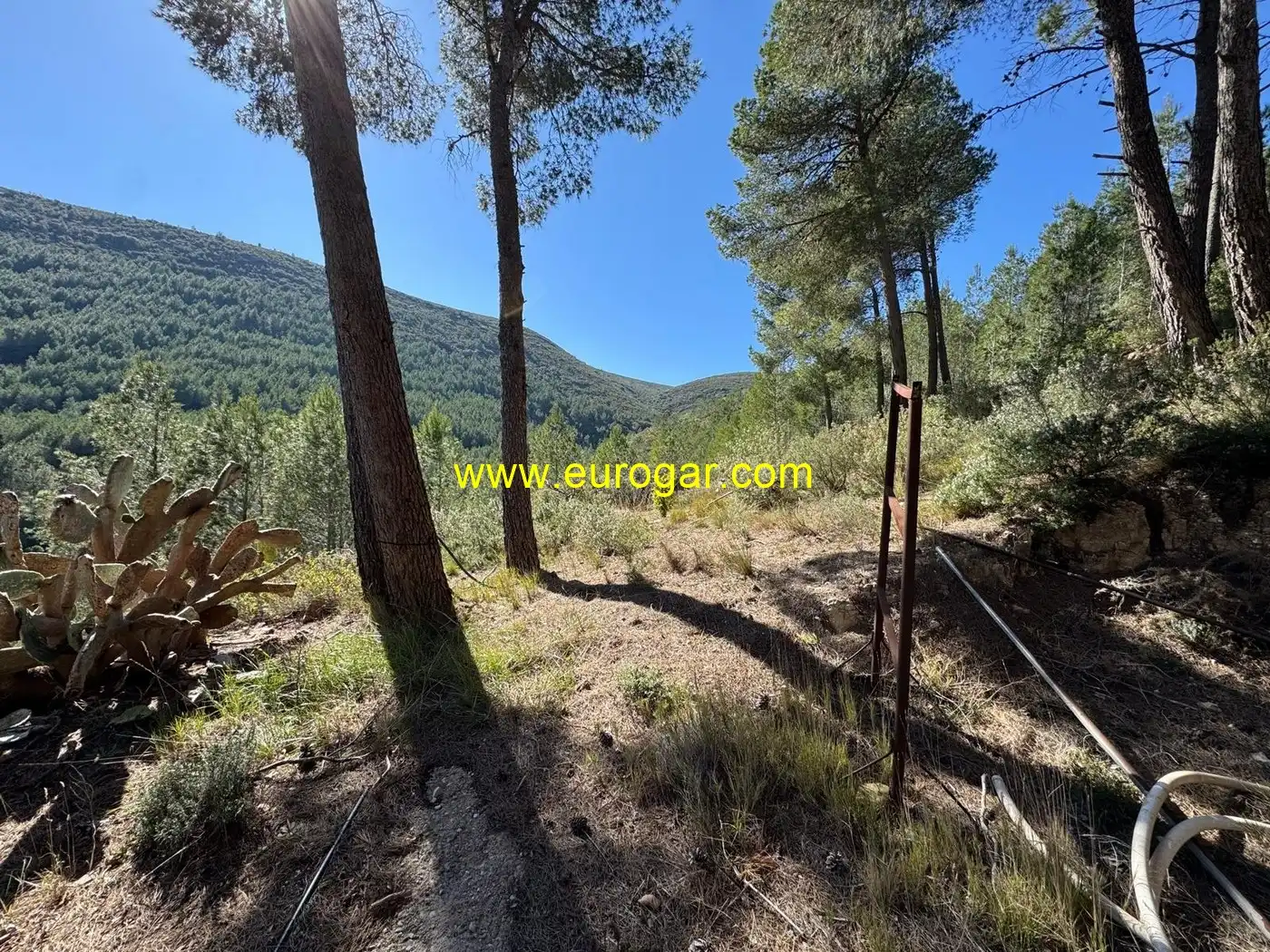 Finca rústica en venta en Chiva