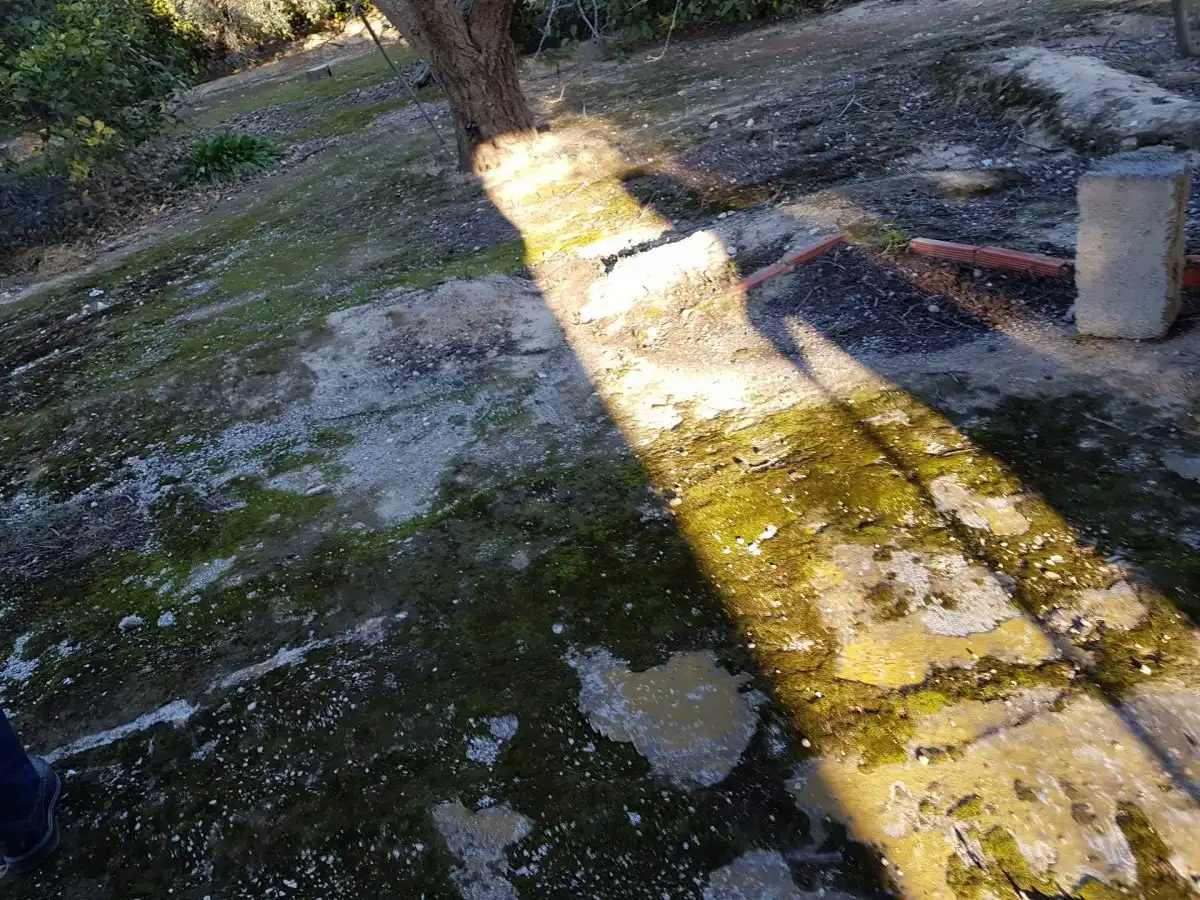 Jardín de Finca rústica en venta en Ulea