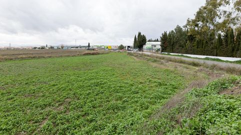 Foto 2 de Terreno en venta en Armilla, 2, San Antón, Armilla