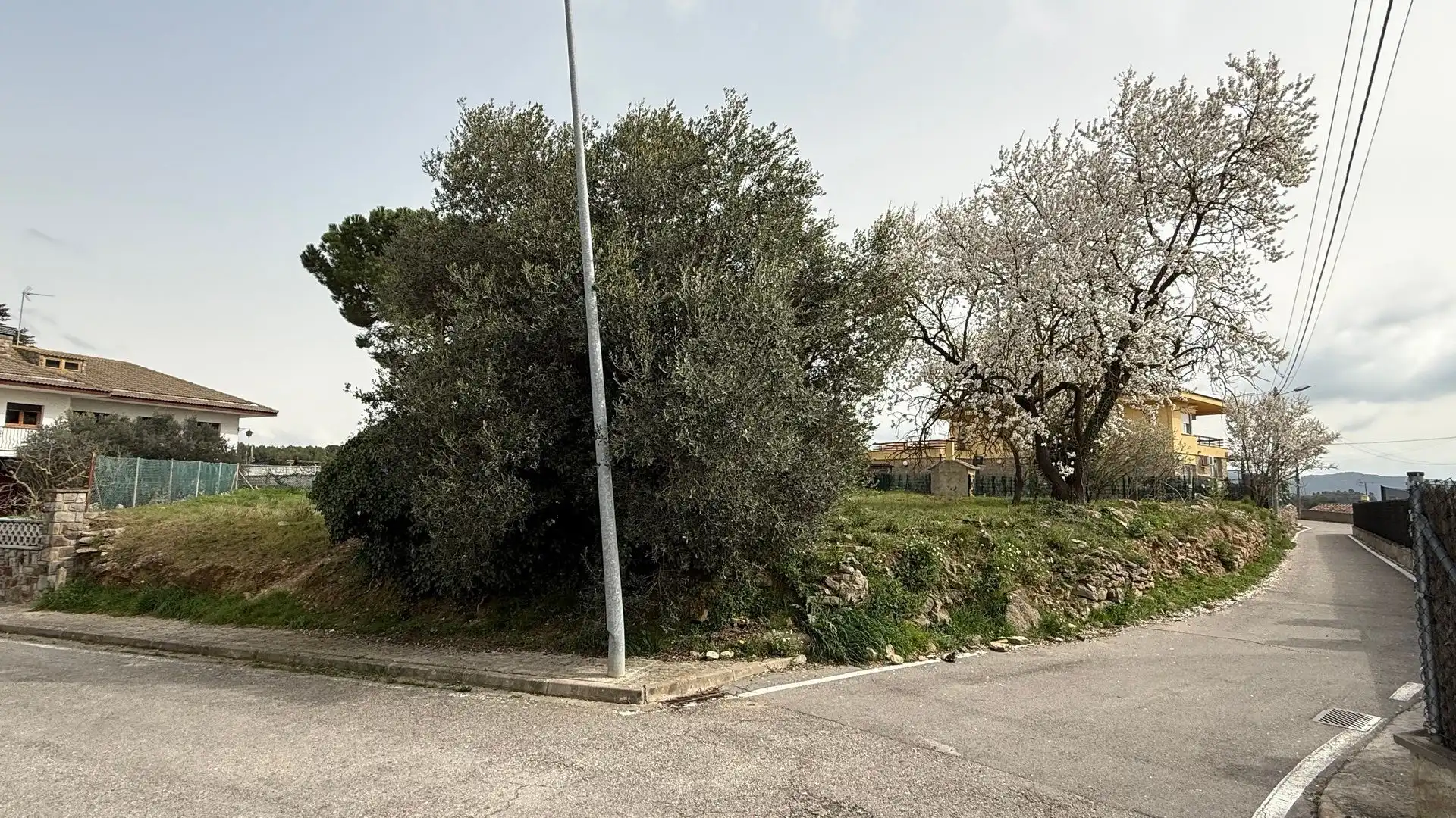 Terreni e lotti in vendita a Tramuntana, imagen 2