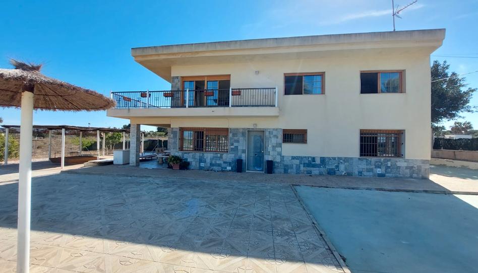 Foto 1 de Casa o xalet de lloguer a La Marina, Alicante