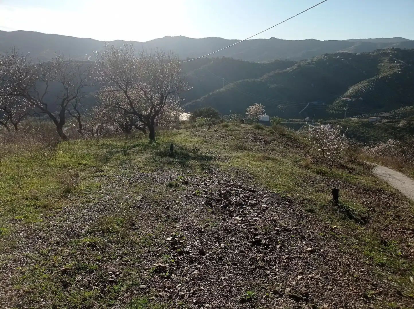 Terreny en venda en Iznate