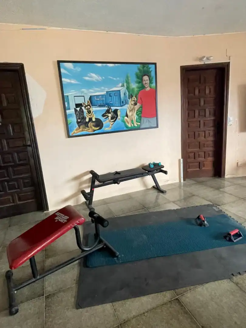Villa avec piscine à vendre à Avinguda de Suïssa, imagen 45