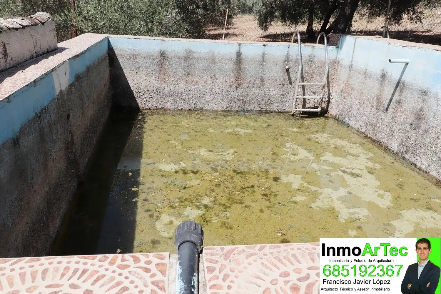 Swimming pool of Houses for sale in Íllora  with Swimming Pool