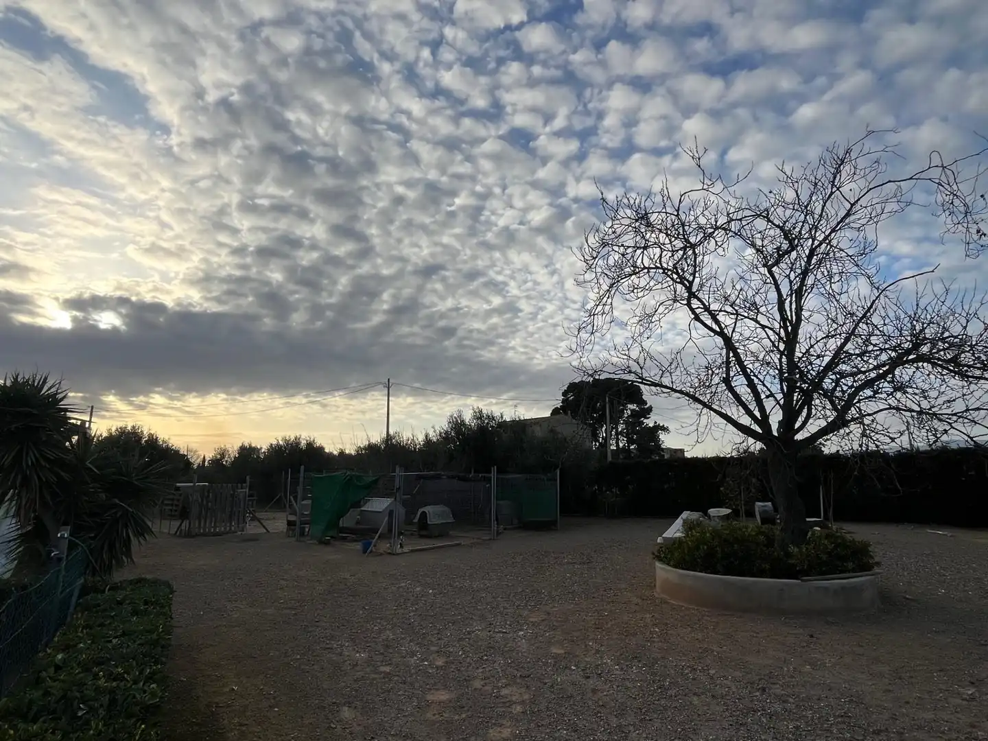 Vista exterior de Finca rústica en venda en Reus amb Calefacció, Terrassa i Moblat