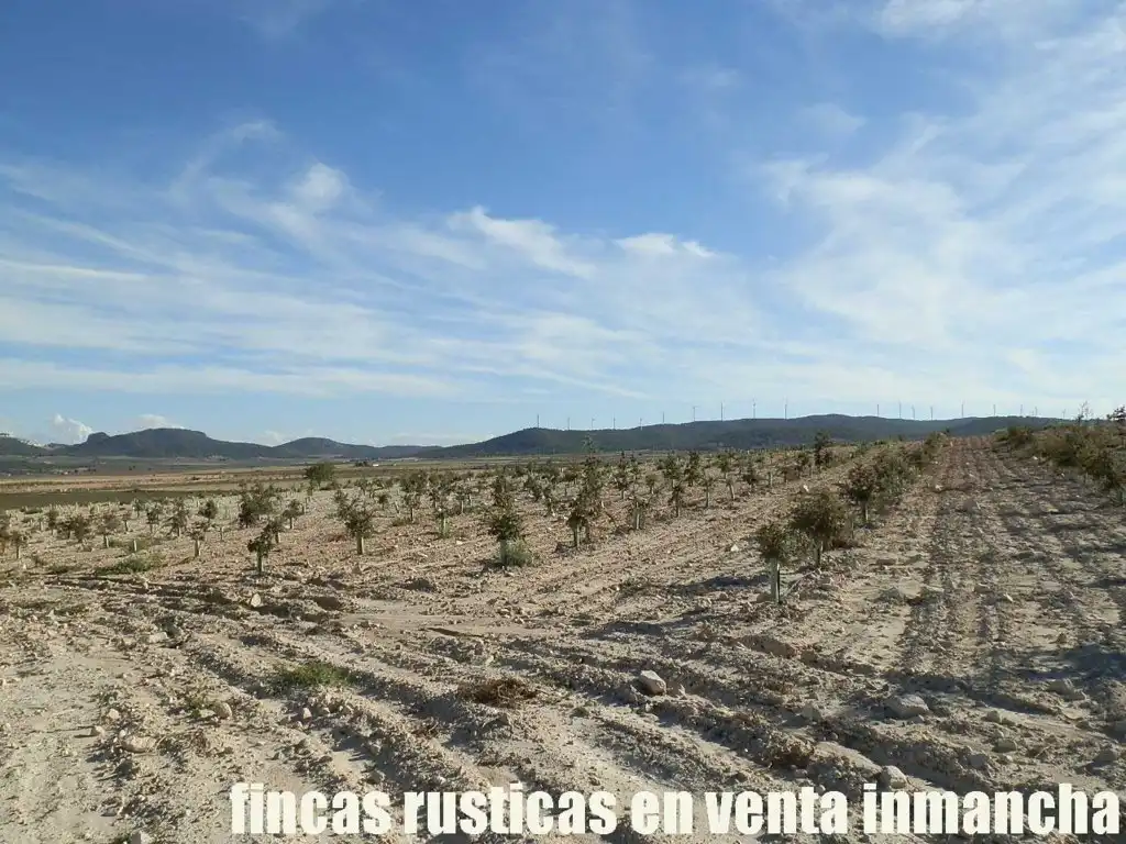 Rustikales Grundstück zum Verkauf in Jumilla, imagen 14
