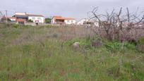 Residencial en venda en El Álamo