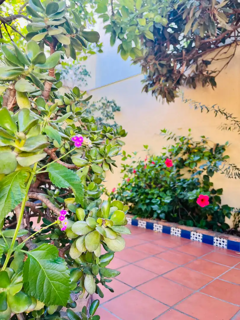 Jardín de Casa o chalet en venta en Fuengirola con Aire acondicionado, Jardín privado y Terraza