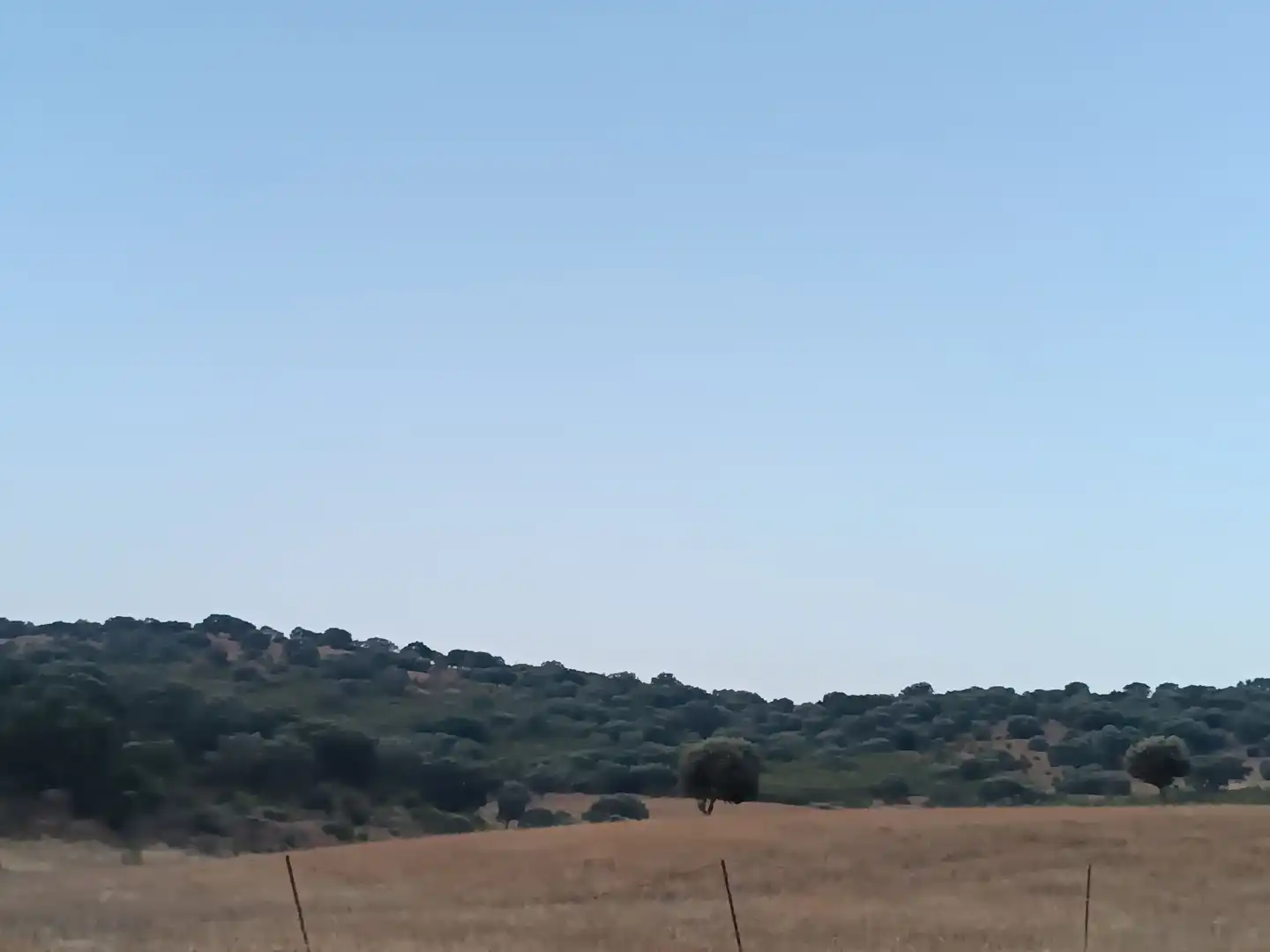 Residencial en venda a Alía