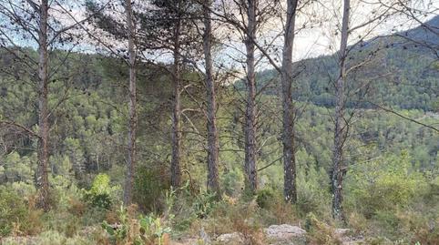 Foto 2 de Finca rústica en venda a Alcudia de Veo, Castellón