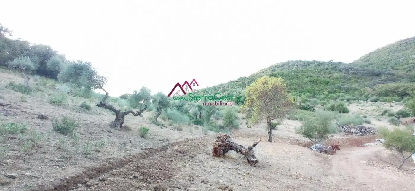 Terreni e lotti in vendita a Benaocaz, imagen 55