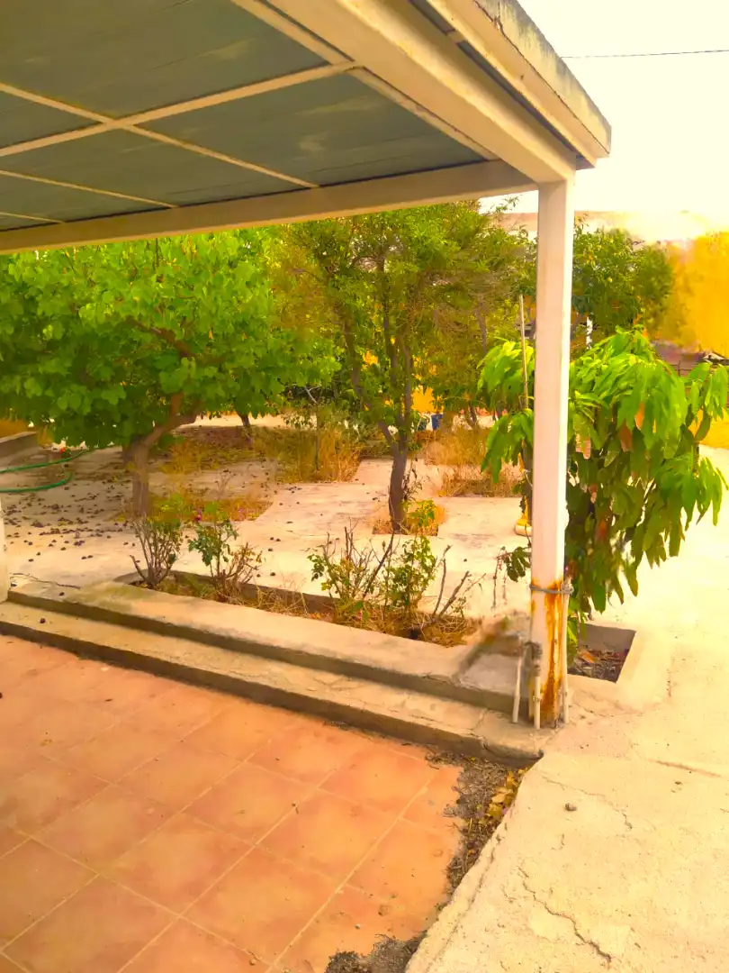 Jardí de Casa o xalet en venda en Murcia amb Jardí privat