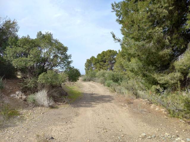 Terreno en Venta en Aguaderas