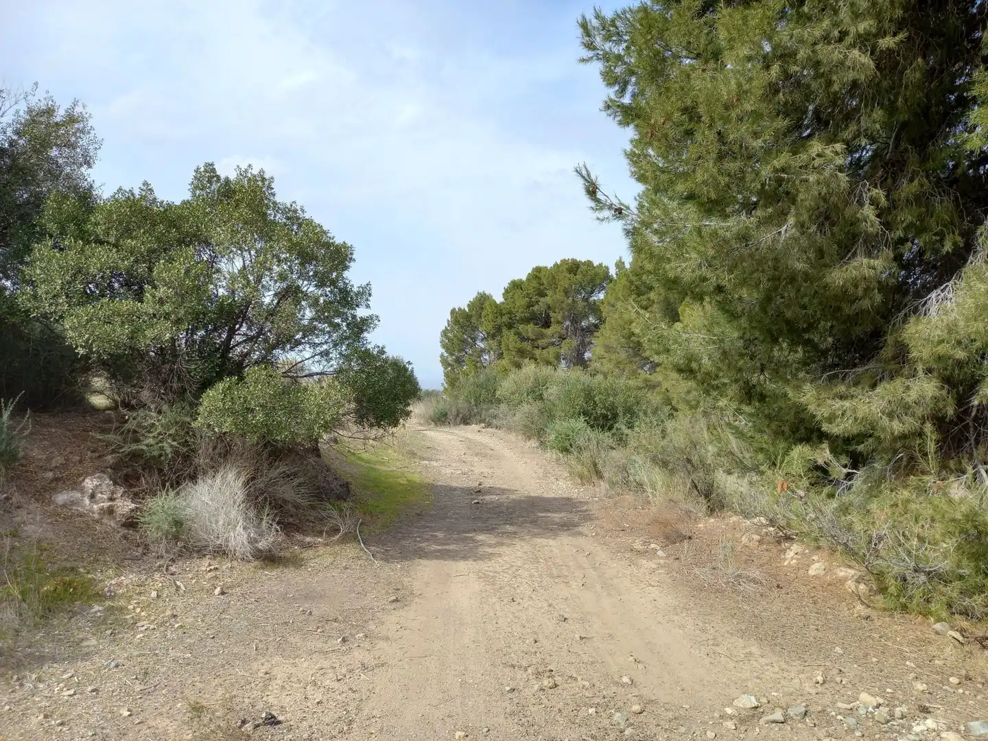 Terreno rustico in vendita a Pedanías Centro