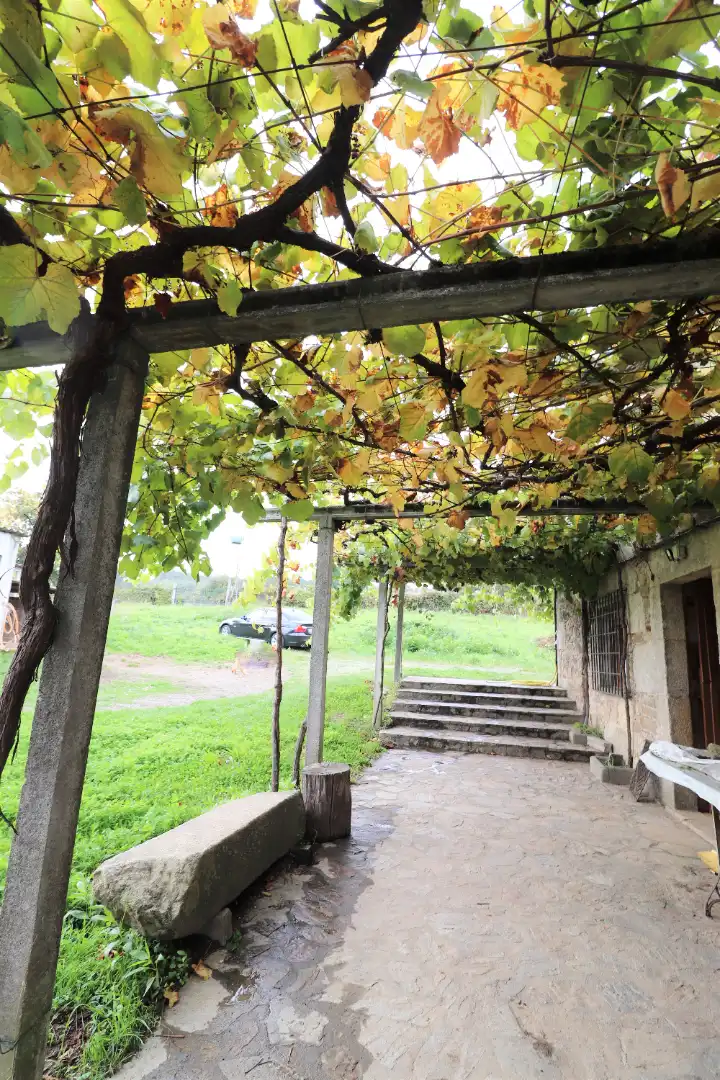 Maison avec jardin à vendre à CP-2017 14, imagen 10