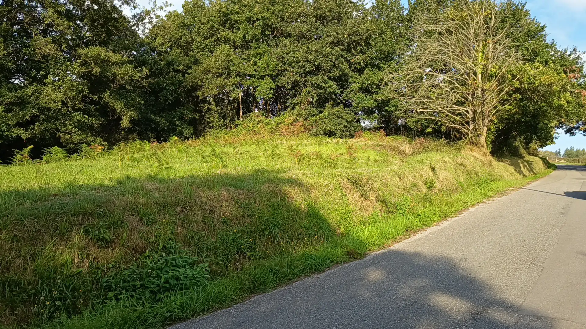 Rural land for sale in Lugar el Ponton, imagen 13