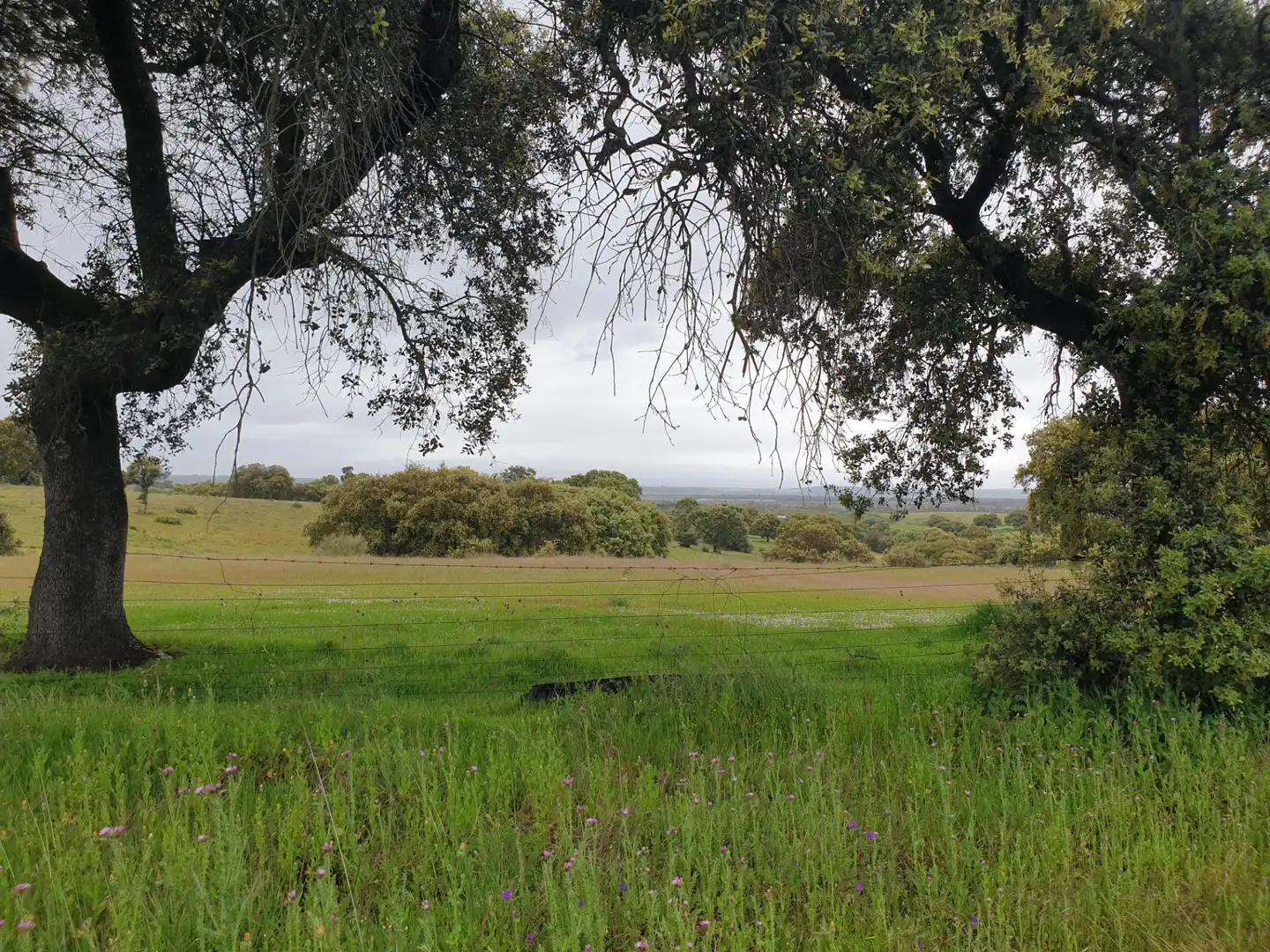 Terreni e lotti in vendita a Parque de la Constitución 5a, imagen 5