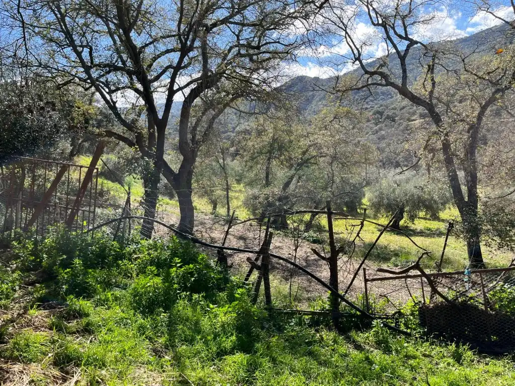 Finca rústica en venda en Ronda