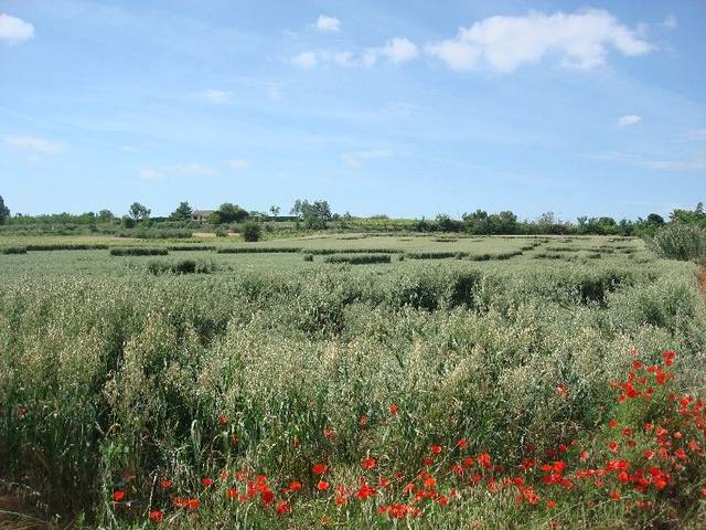 Terreno en Venta en Villamediana de Iregua