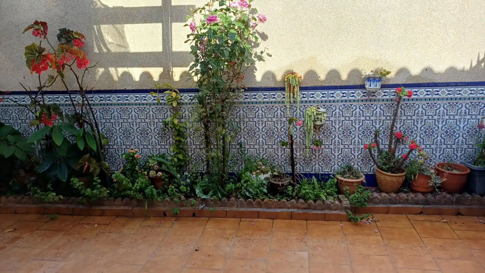 Jardín de Casa o chalet en venta en Algeciras con Aire acondicionado
