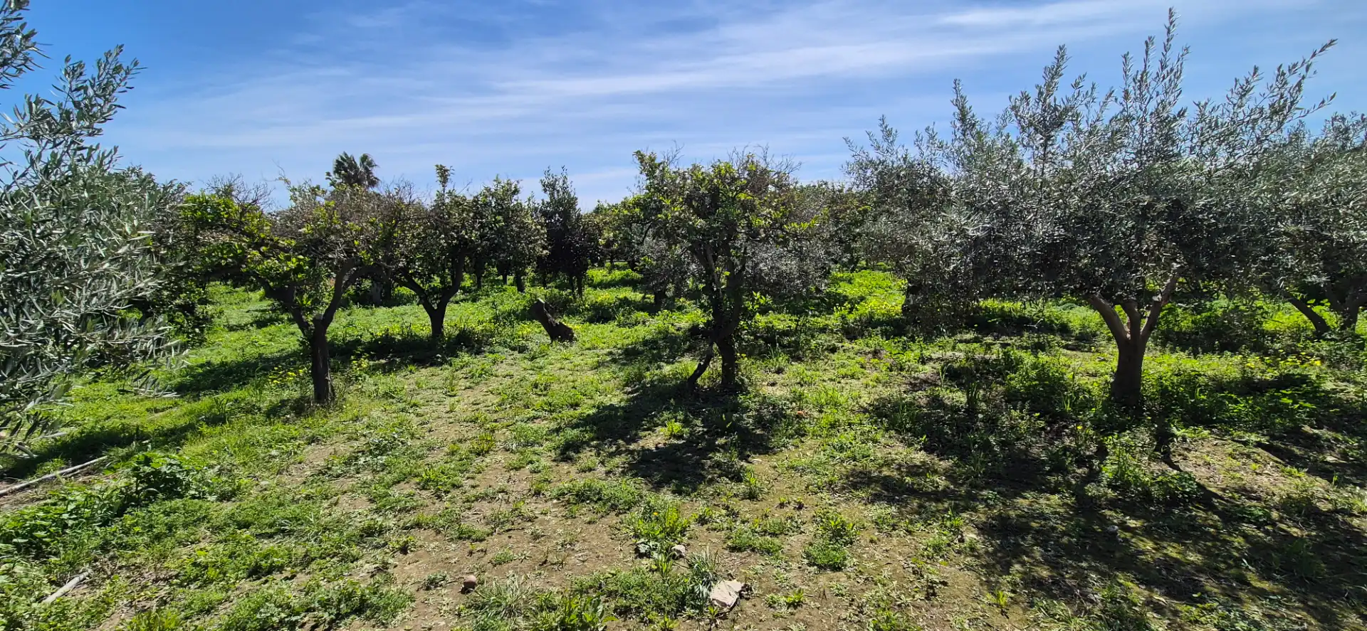 Finca rústica en venda en Benahadux