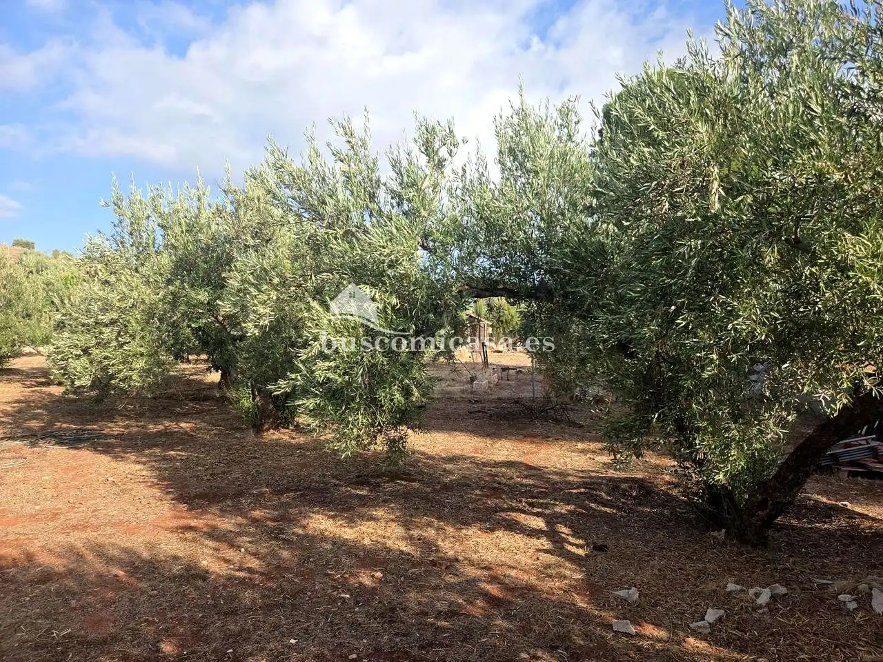Casa o xalet en venda en Puente Tablas - Puente Nuevo - Cerro Molina