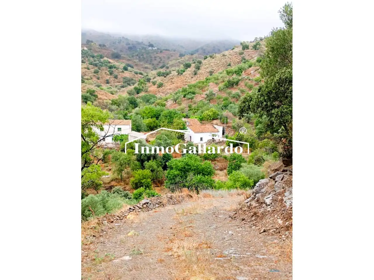 Casa rústica en venta en Este, imagen 3