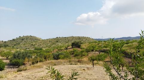 Foto 5 de Finca rústica en venta en Carretera Cabezo de la Jara, Puerto Lumbreras, Murcia