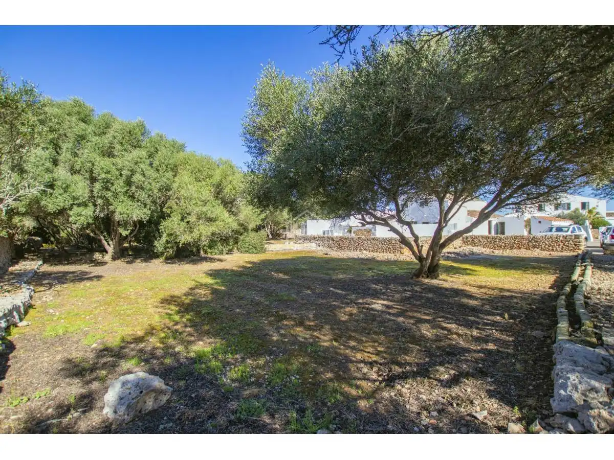 Houses for sale in Llucmaçanes