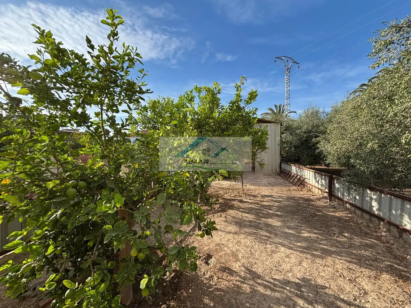 Garden of Residential for sale in Elche / Elx