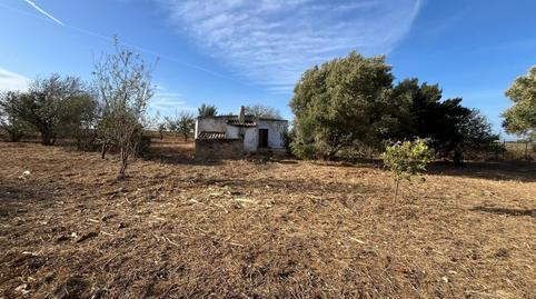 Photo 2 of Land for sale in  Hozanejos Pago Huno , Pelagatos - Pago del Humo, Cádiz