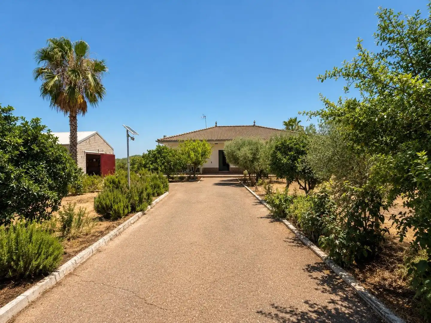 Vista exterior de Casa o chalet en venta en La Carlota con Aire acondicionado, Jardín privado y Terraza