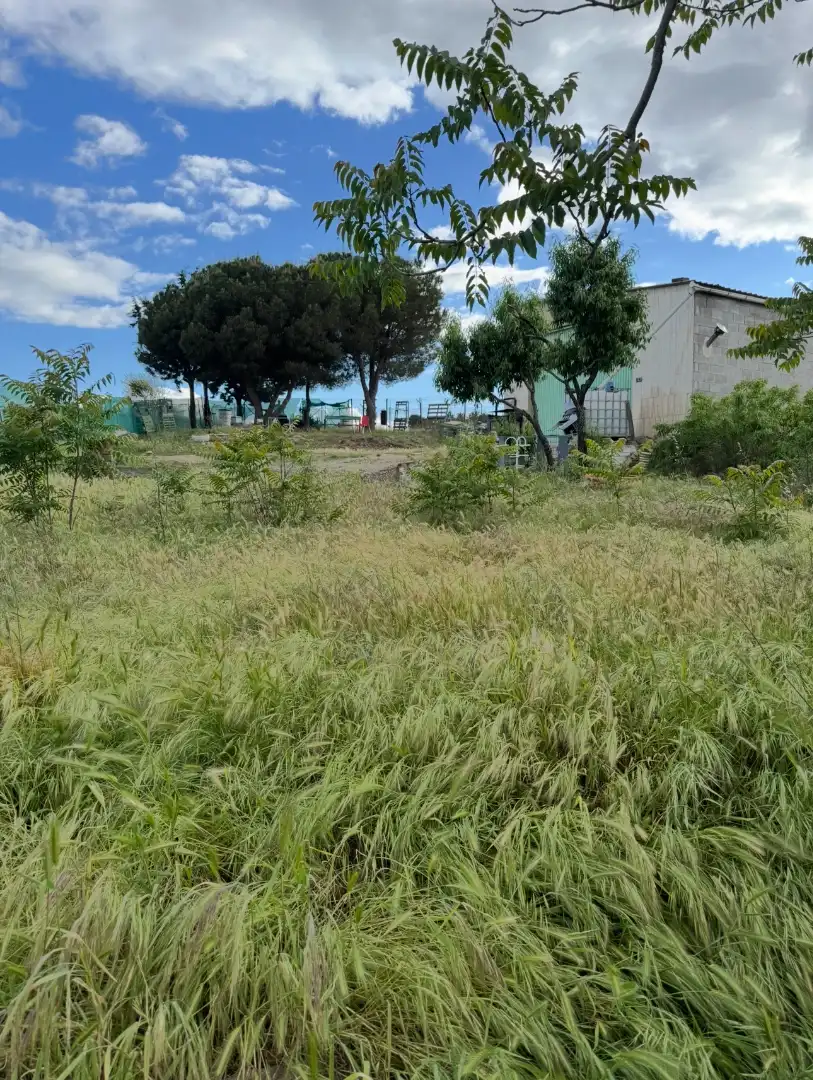 Finca rústica en venta en El Molar (Madrid) con Jardín privado, Terraza y Trastero