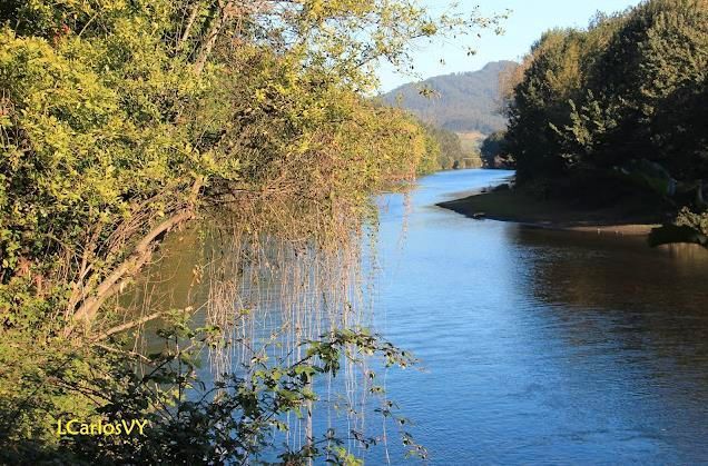 Exterior view of House or chalet for sale in Pravia  with Heating, Private garden and Terrace