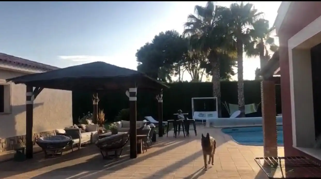 Casa con piscina en venta en Centro, imagen 12
