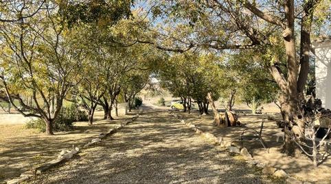 Photo 5 of House or chalet for sale in Diseminados Muleria, Burjulu - La Mulería, Almería