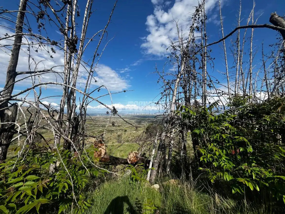 Land for sale in Borja