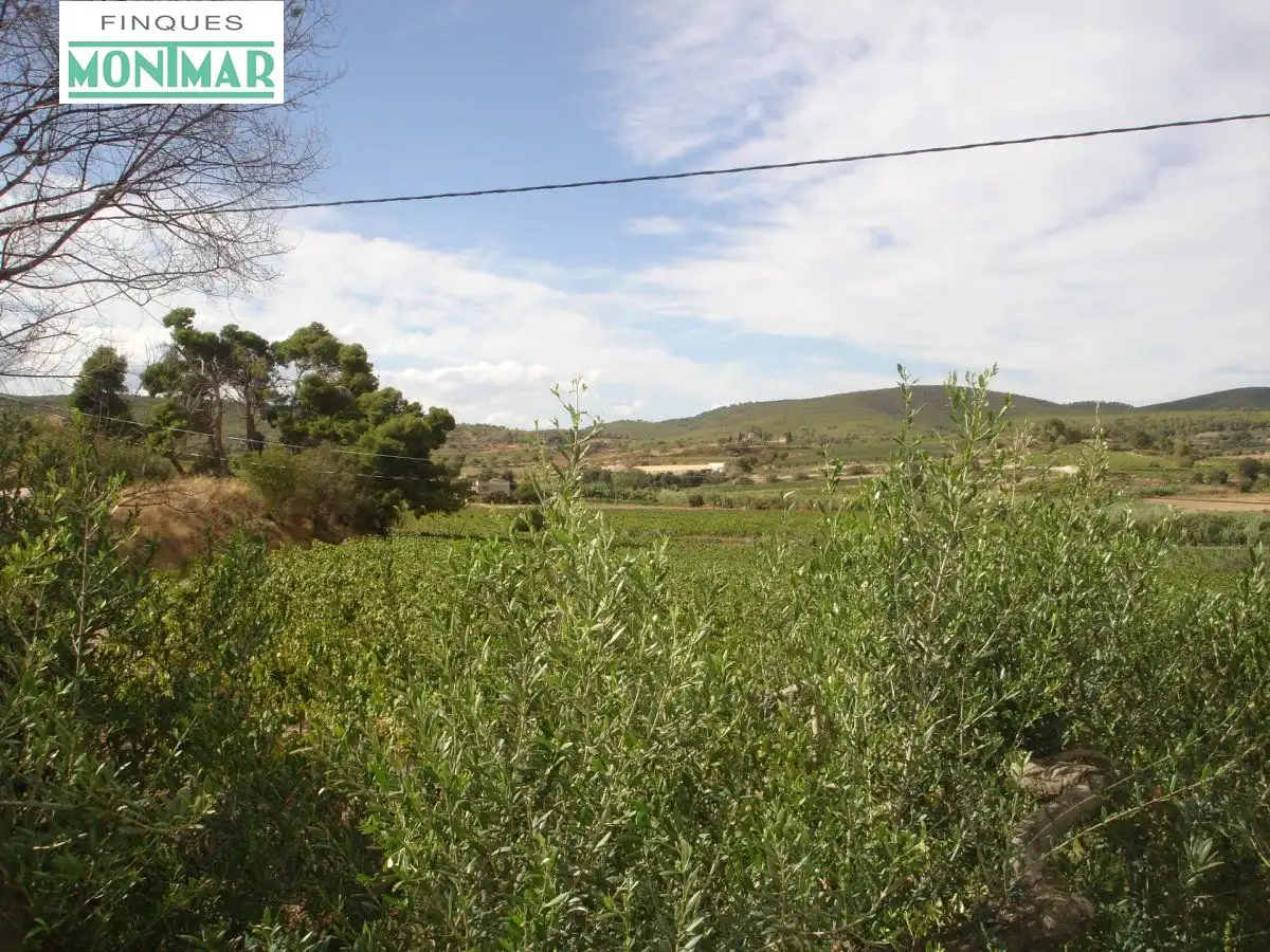 Finca rústica en venta en Castellví de la Marca