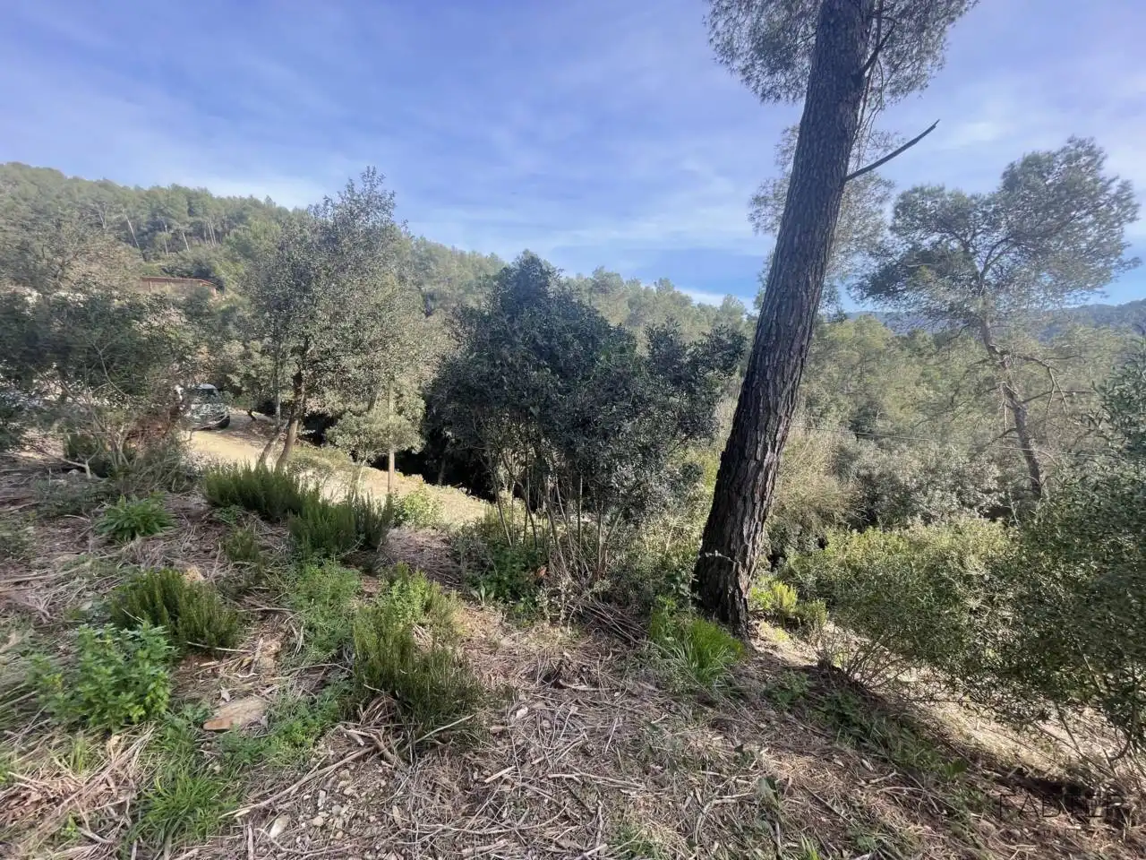 Rural land for sale in Avenida Modolell, imagen 10