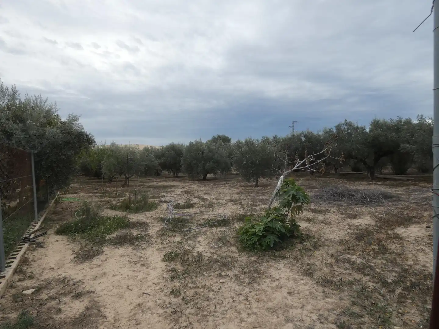 Casa o chalet en venta en Murcia con Aire acondicionado, Jardín privado y Terraza