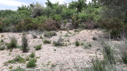 Foto 3 von Grundstücke zum Verkauf in Poligono 3-rs, 235, Villar del Arzobispo, Valencia