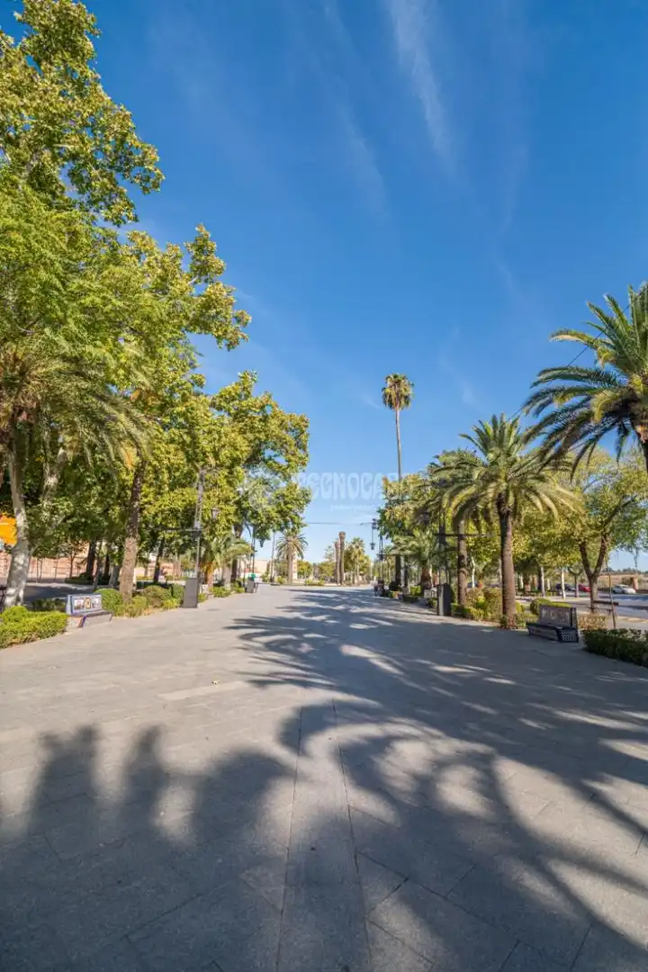 Local comercial en venta en Linarejos, imagen 14